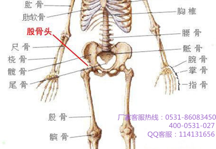 龍馬治療儀